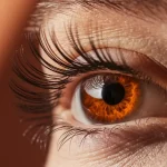 Kirpikler Olmasaydı